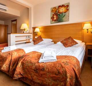 Отель Kinga Hotel Wellness Чорштын Двухместный номер с двуспальной кроватью и дополнительной кроватью-3